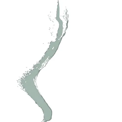 Logo Caroline Nivelon